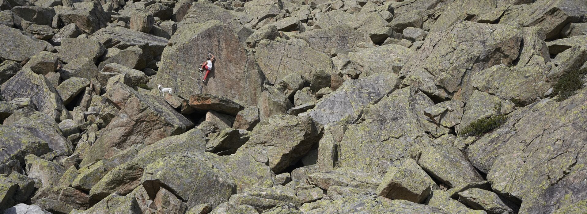 Eine Person klettert auf einem Felsen.