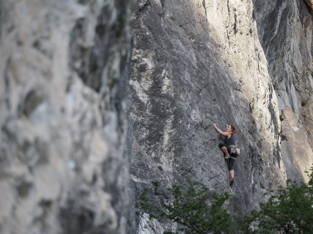 Das Dschungelbuch an der Martinswand bei Innsbruck, Foto: Simon Schöpf