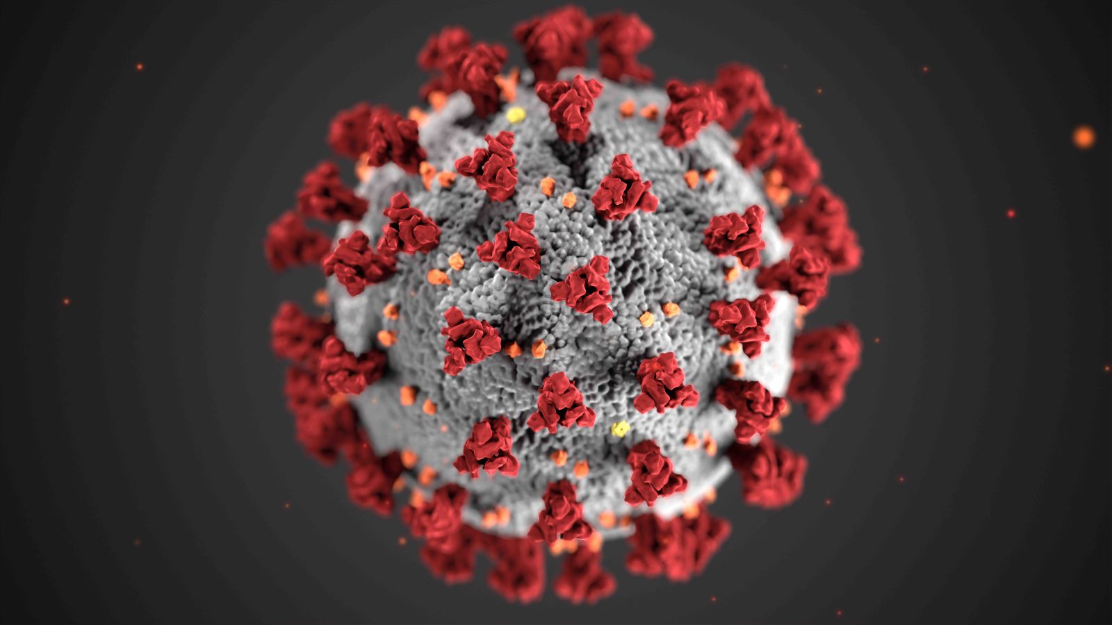 Corona Virus, Foto: CDC, unsplash | Climbers Paradise