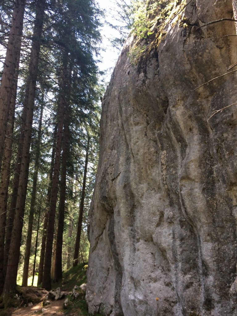 Imst - Kletterfelsen Reithle, Foto: Susa Scheiner | Climbers Paradise