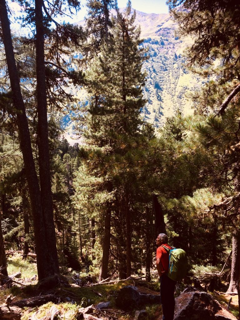 Bergwaldidylle auf dem Weg zum Klettergarten Gailwand im Kaunertal | Climbers Paradise