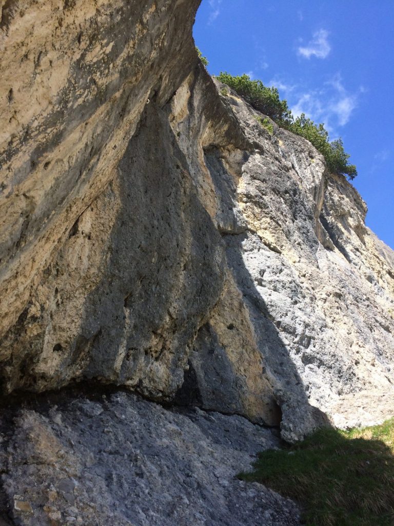 Fels für Anfänger und Könner beim Klettergarten Muttekopfhütte | Climbers Paradise