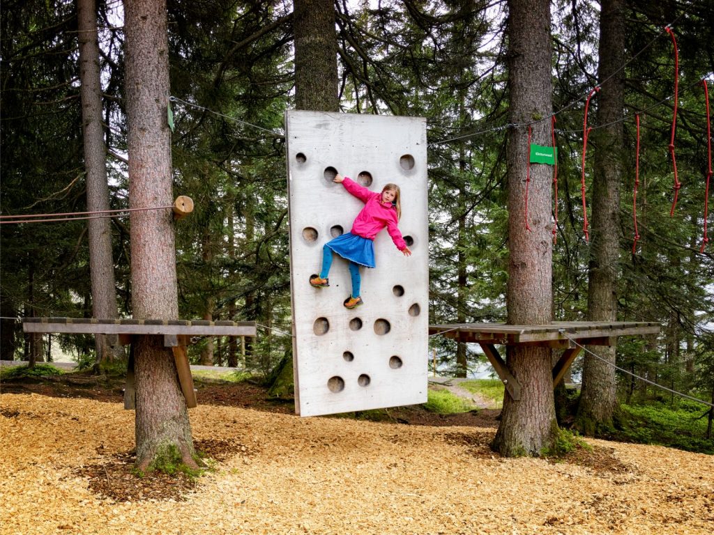 Klettern im Niederseilgarten bei Timoks Alm, Foto: Toni Niederwieser | Climbers Paradise