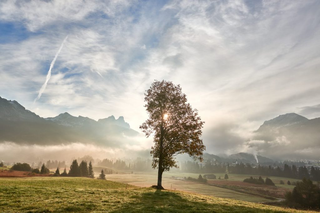 Tannheimer Tal, Foto: TVB Tannheimer Tal, Achim Meurer | Climbers Paradise