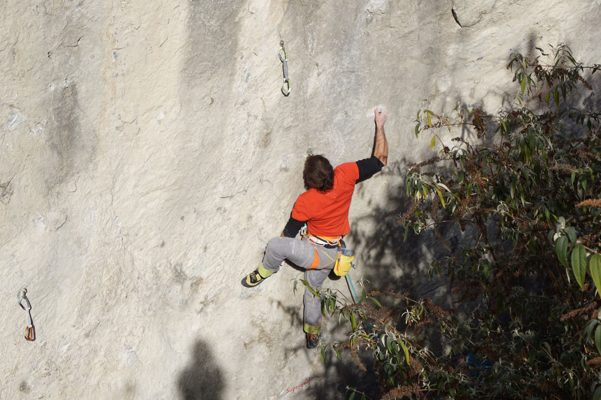 Klettergarten Dschungelbuch | Climbers Paradise