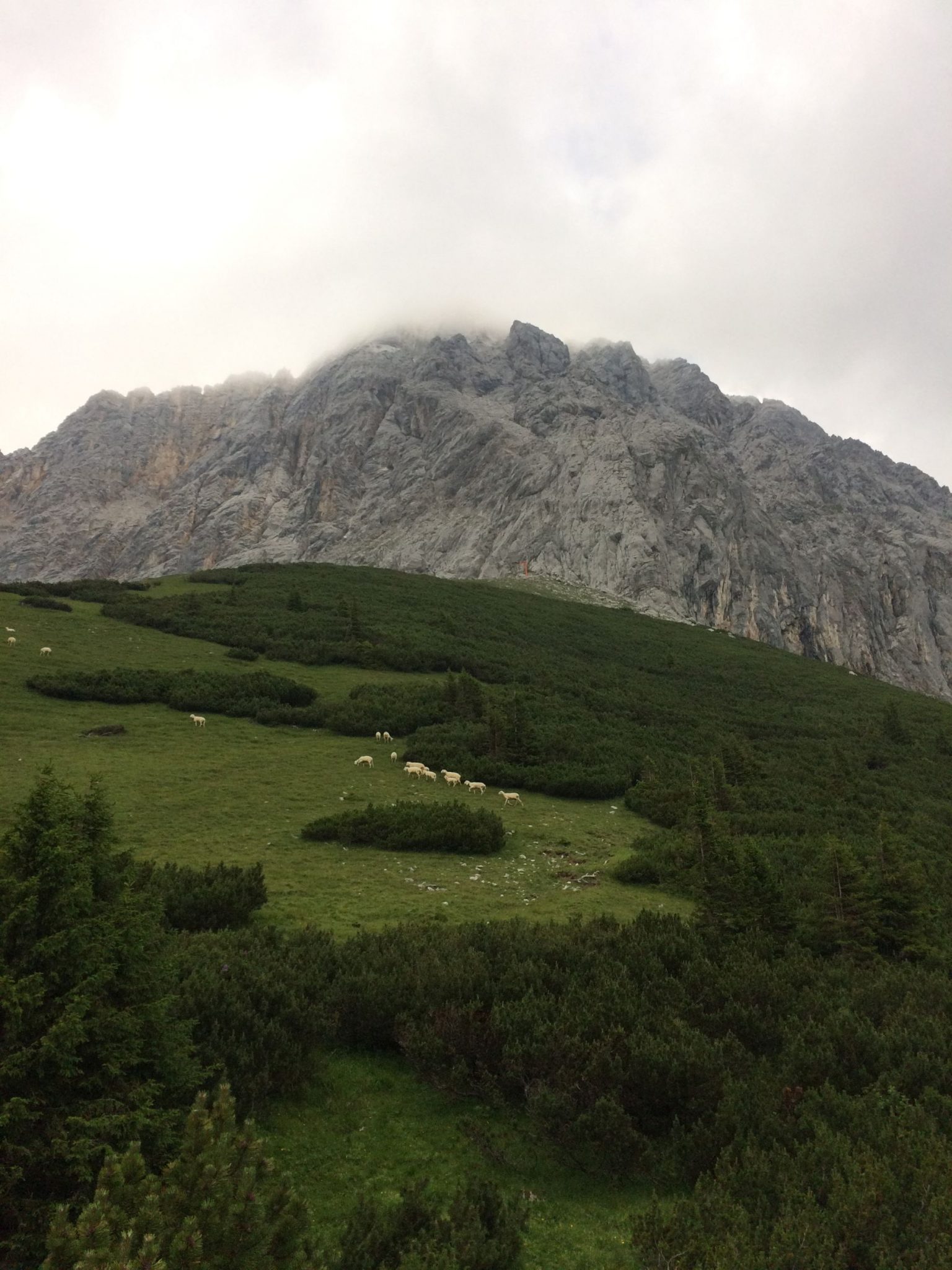 Der riesige Felsriegel der Plattspitzen in der Tiroler Zugspitzarena von unten - West und Süd | Climbers Paradise